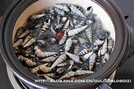 盐水煮海锥的做法