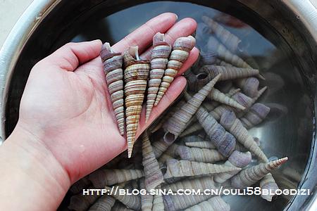 ����׶�ݵ�����