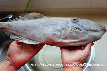 ���˰�Ƥ�������