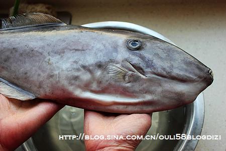 ���˰�Ƥ�������