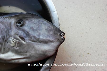 ���˰�Ƥ�������