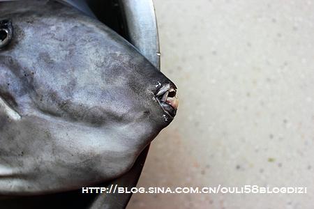 ���˰�Ƥ�������