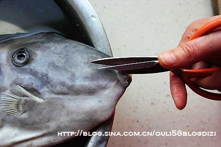 ���˰�Ƥ�������