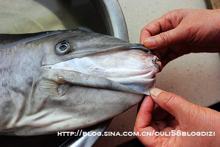 ���˰�Ƥ�������