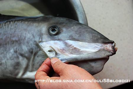 ���˰�Ƥ�������