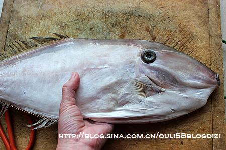 ���˰�Ƥ�������