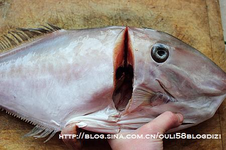 ���˰�Ƥ�������