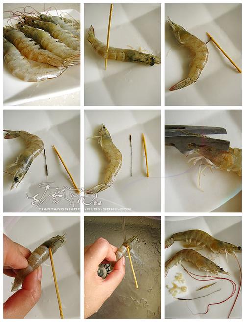 ������Ϻ������