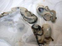 ĵ�������յ�����