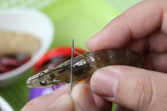 ��ʺ��ʷ�������