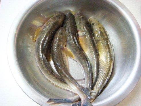 �����������ӵ�����