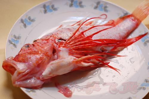 清蒸须斑的做法