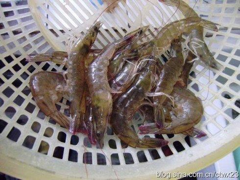 ԭζ����Ϻ������