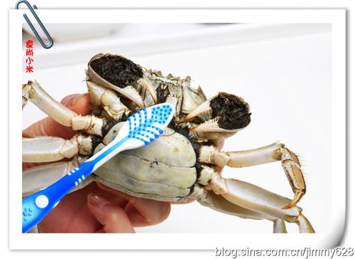 ��������з������