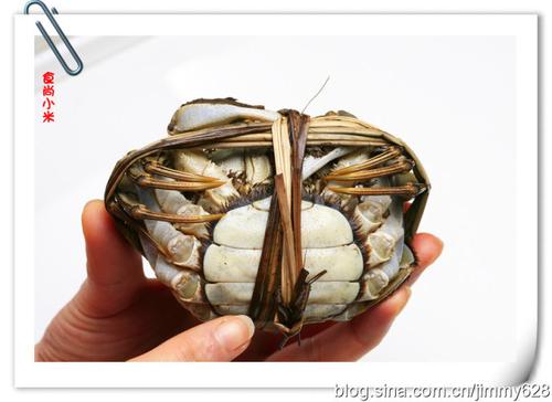 ��������з������