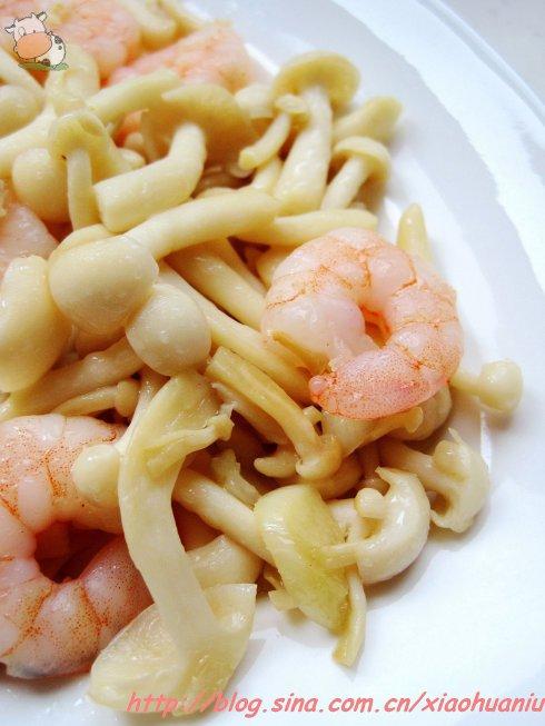 ������Ϻ�ʵ�����