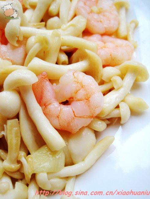 ������Ϻ�ʵ�����