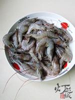 Ϻ������Ƭ������