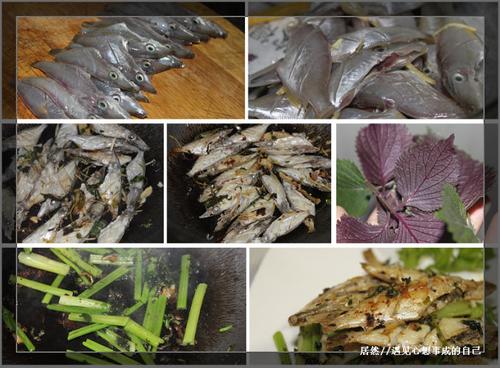 �������۰�Ƥţ������