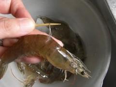 �ɹ���ΧϺ������