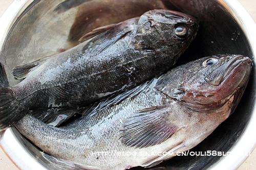 黑鮶鱼豆腐汤VS酱烧黑鮶鱼的做法