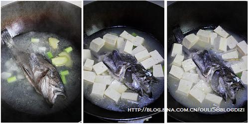 ���z�㶹����VS���պ��z�������