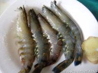 ���˲�Ϻ������