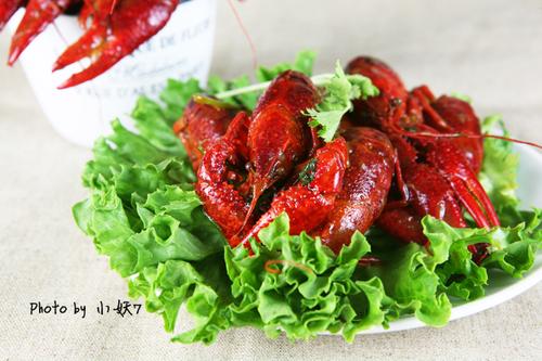 ʮ��������С��Ϻ������