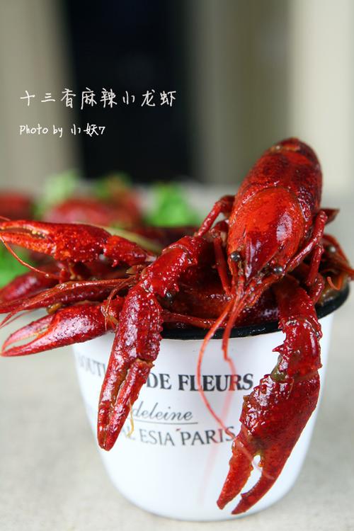 ʮ��������С��Ϻ������