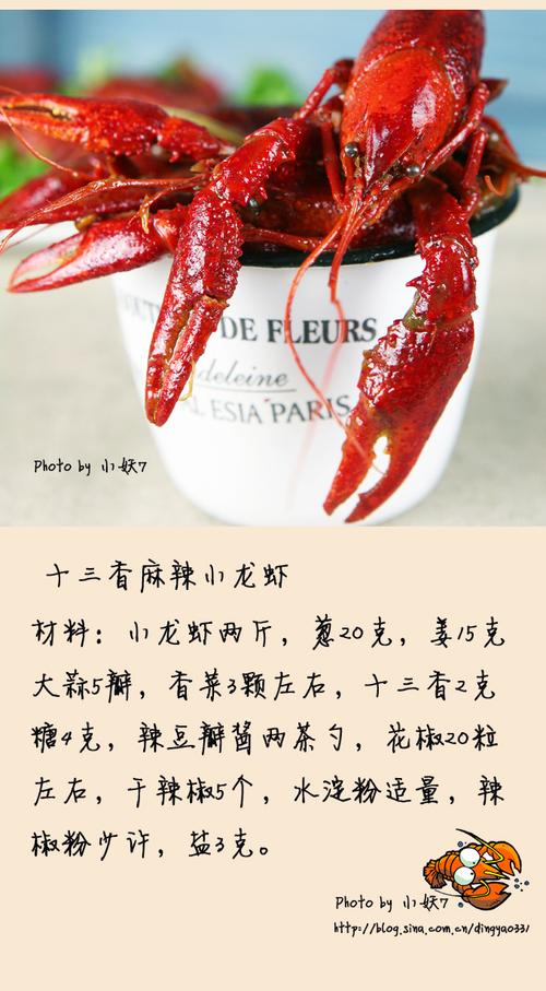 ʮ��������С��Ϻ������