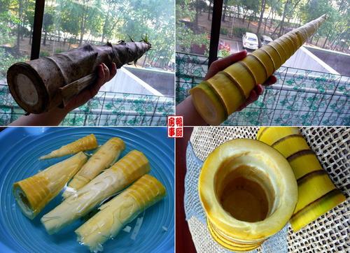 �������Ѻ�����������