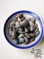 ���������ӵ�����