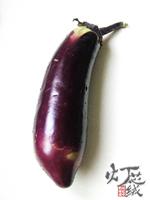 ���������ӵ�����