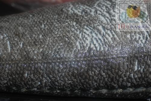 ���������������