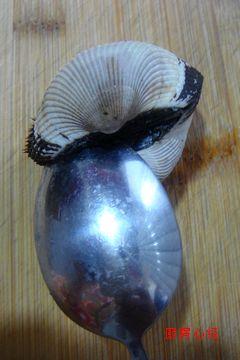 ������۵�����