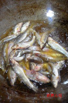 草虾炖小鱼的做法
