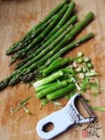 ����«��躣�ε�����