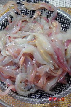 韭菜炒面条鱼的做法