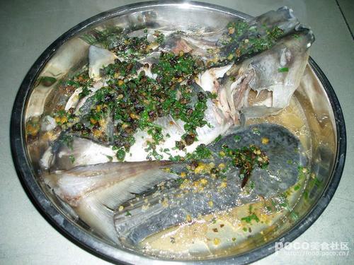 ��֭��Ѽ���������