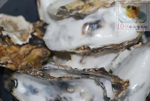 ֥ʿ�����������