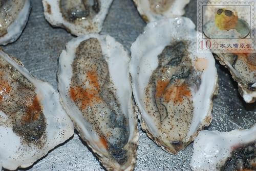 ֥ʿ�����������