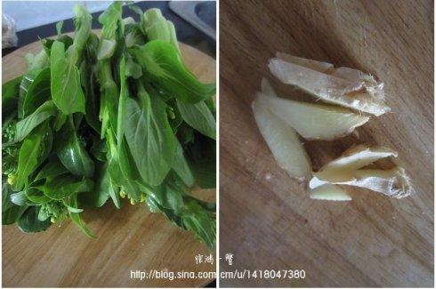 �����ղ�̦������