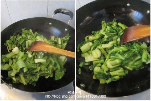 �����ղ�̦������