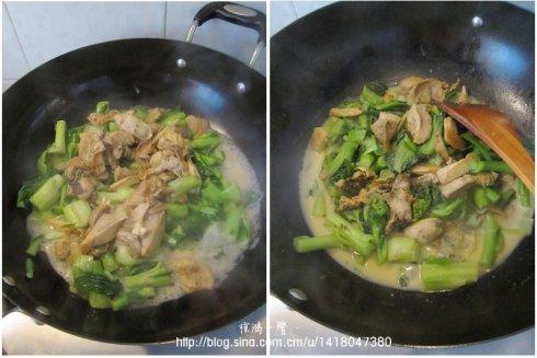 �����ղ�̦������