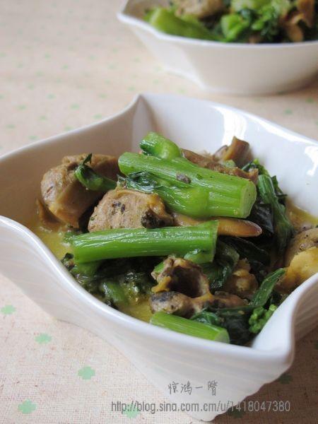 �����ղ�̦������