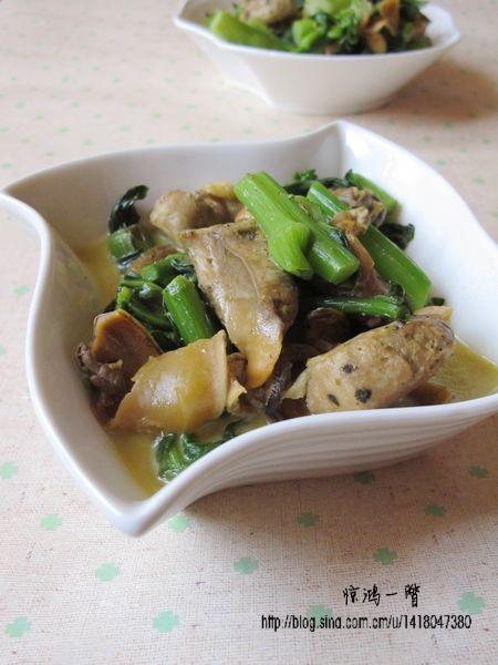 �����ղ�̦������