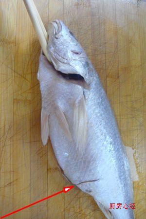 �ƻ��������