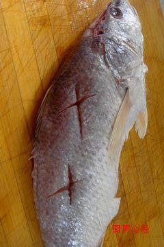 �ƻ��������