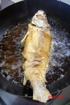 �ƻ��������