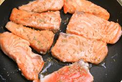 ֥����������������